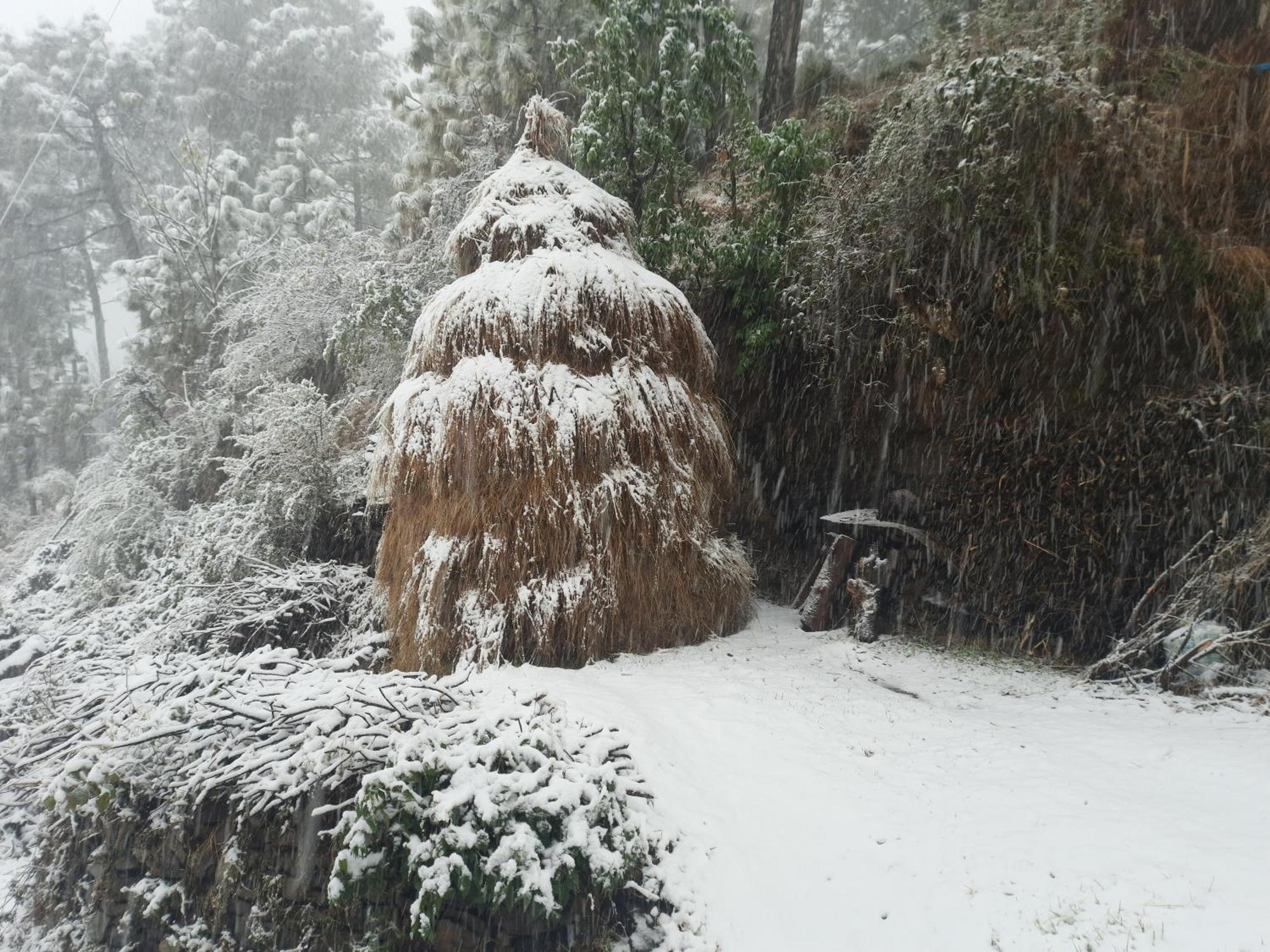 Aagaman Woods Homestay